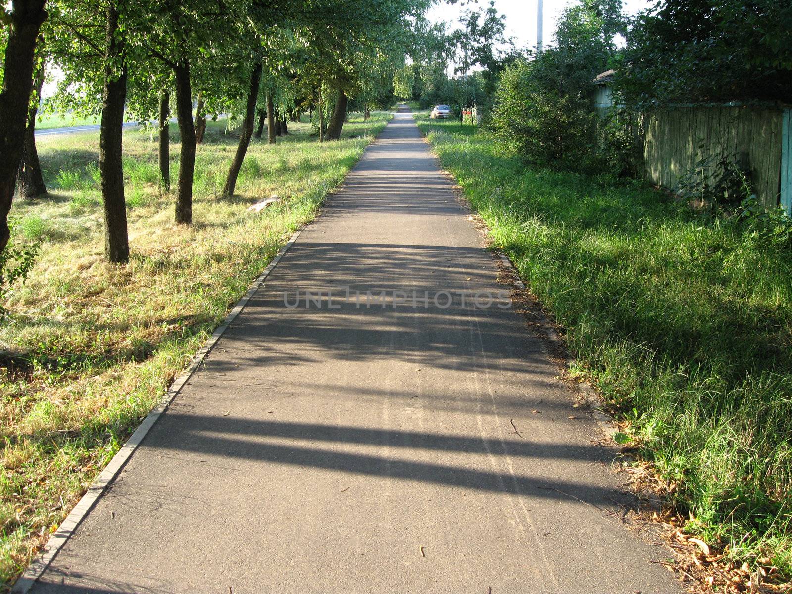 Foot path on a green lawn