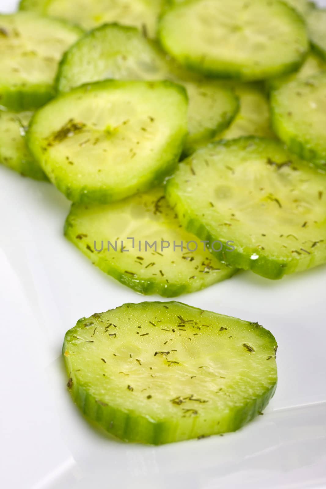 cucumber salad with dill in a white square plate by bernjuer