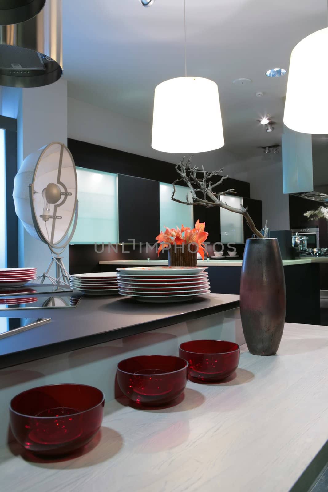 interior of the modern kitchen with red flowers
