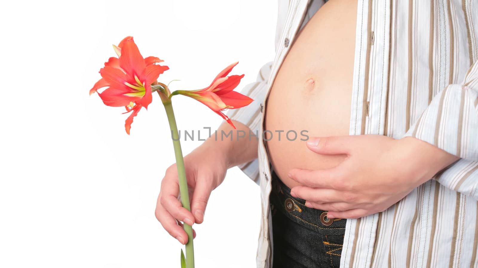expectant mother in striped shirt with flower of the red lily on white background