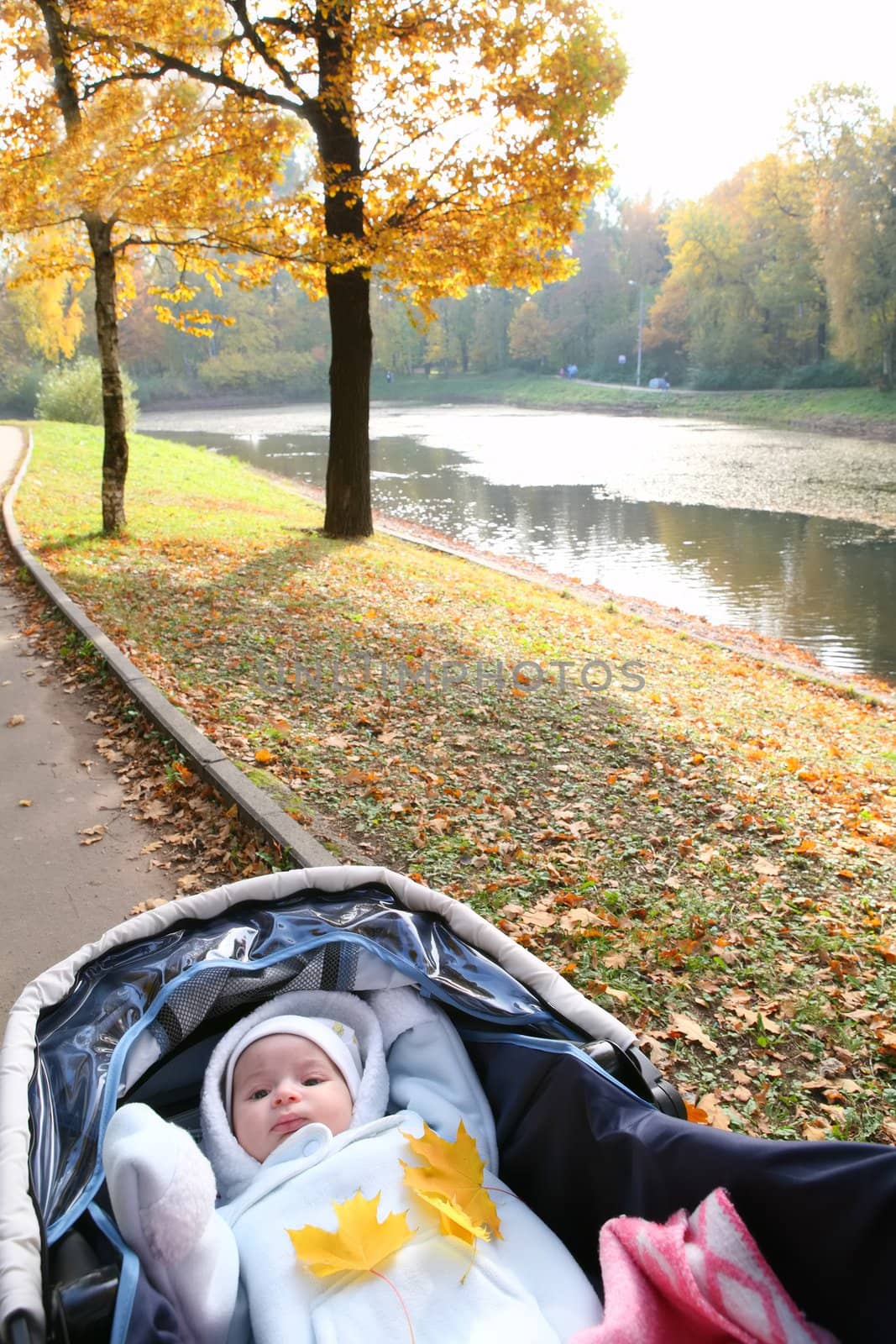 first autumn in life of my small son. Child in sidercar on the walk in autumn park