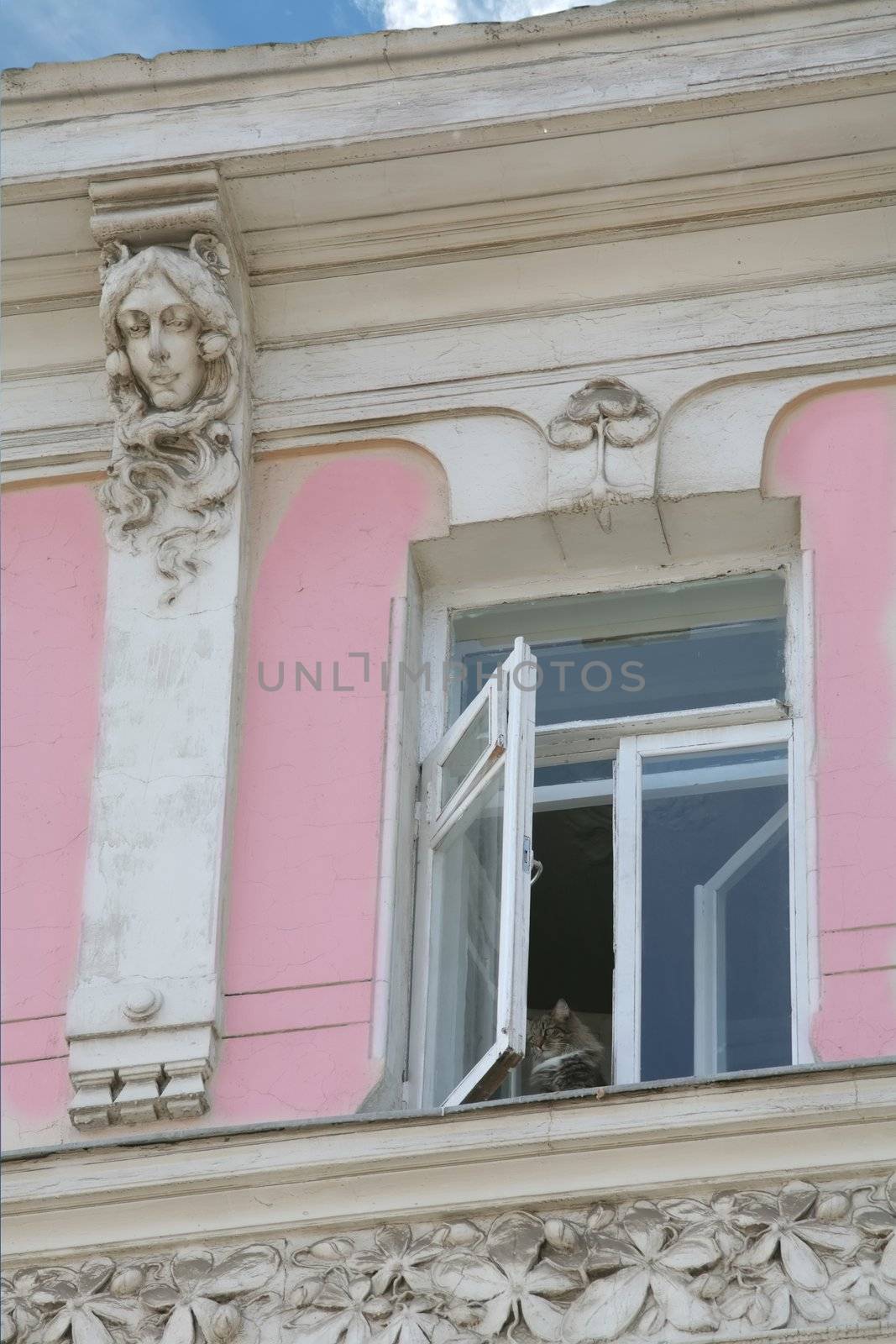 Old Moscow, Window of the Old-time Building with Cat