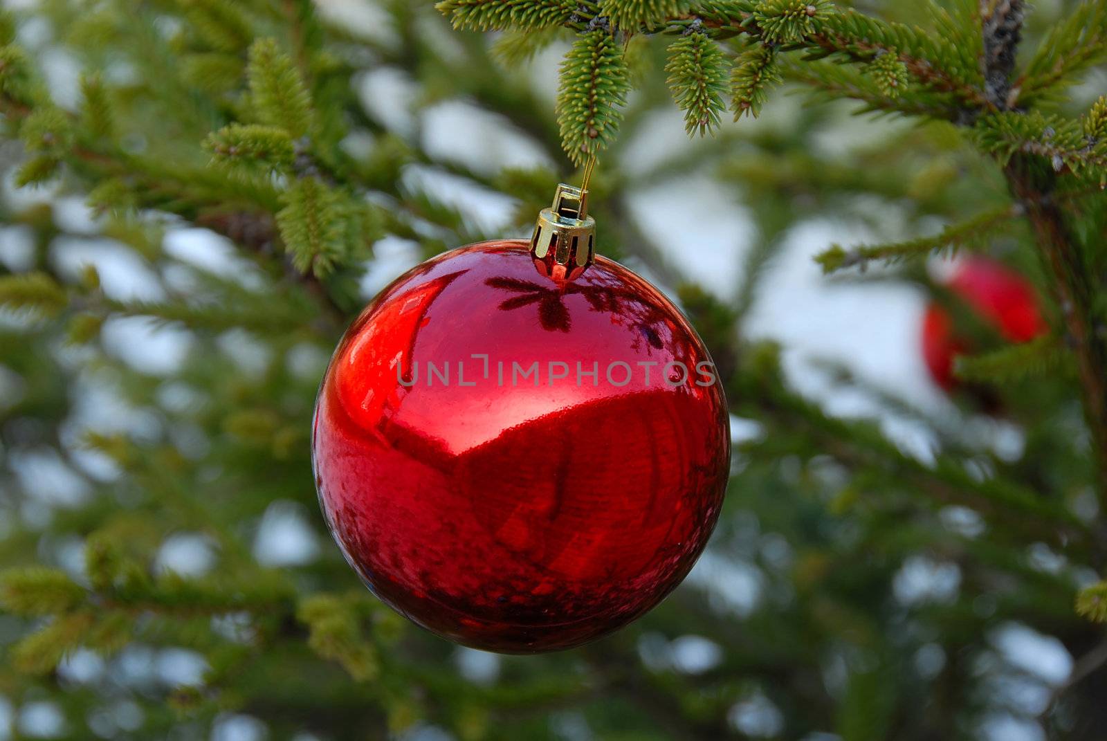 christmas red ball on green new year tree