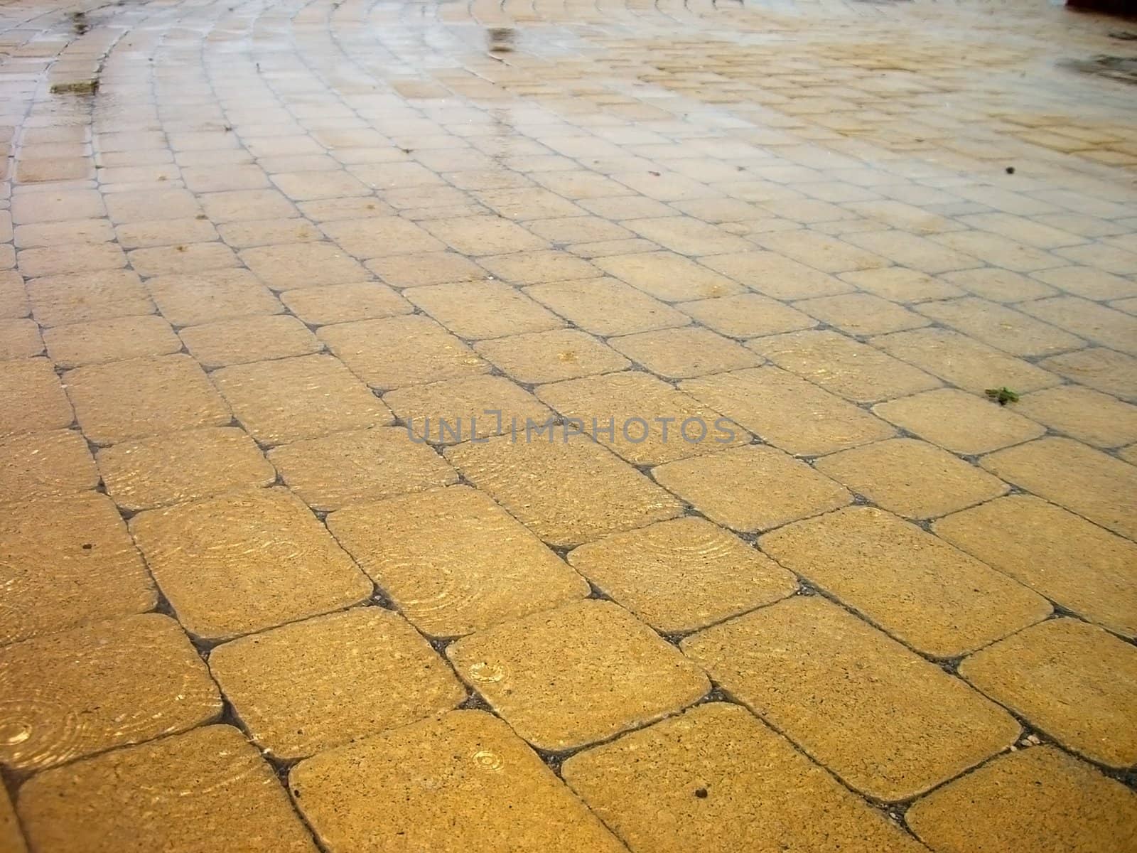 bubble; asphalt, stone, bricks, form square by Viktoha