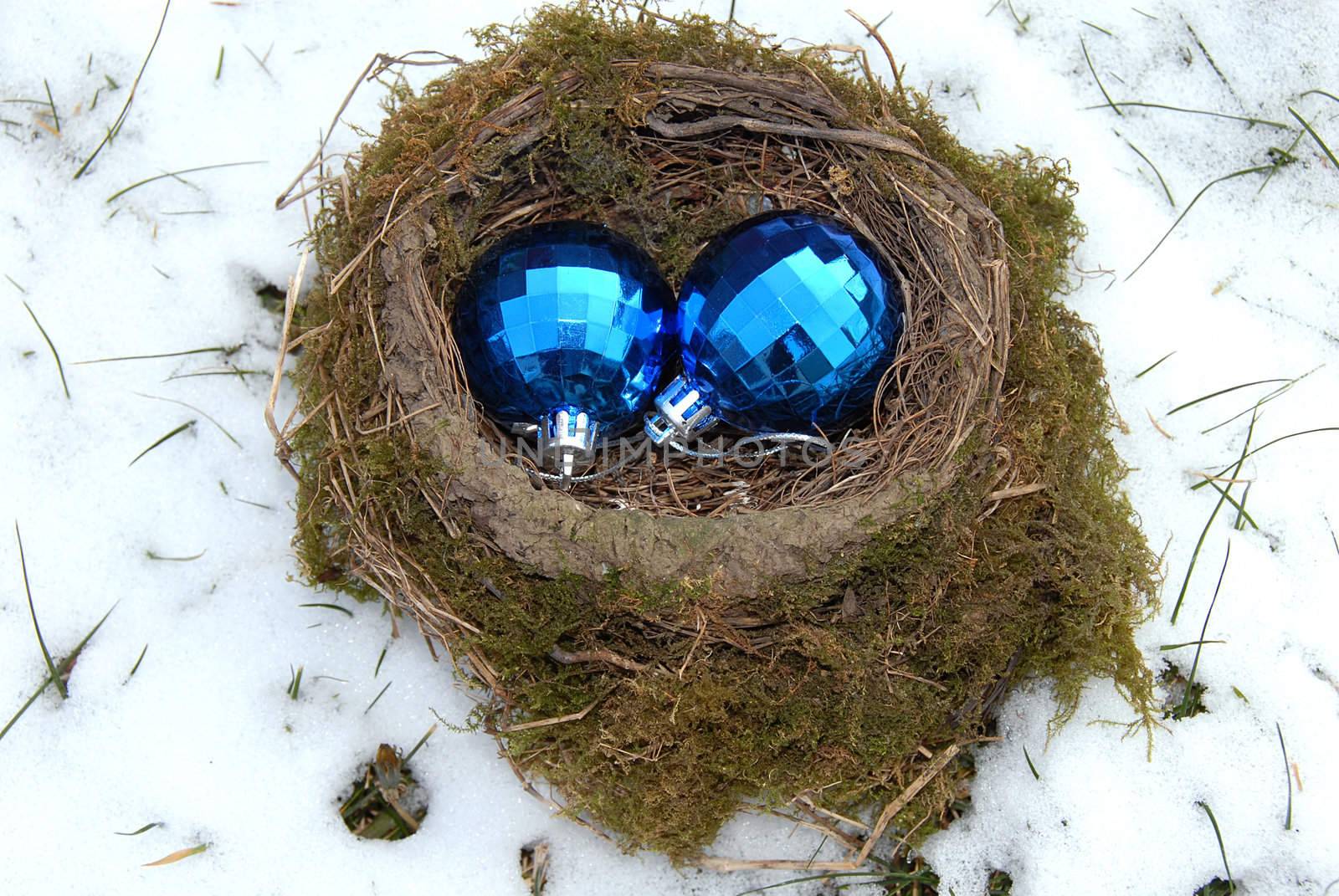 two christmas decorative blue balls in bird nest outdoor at snow