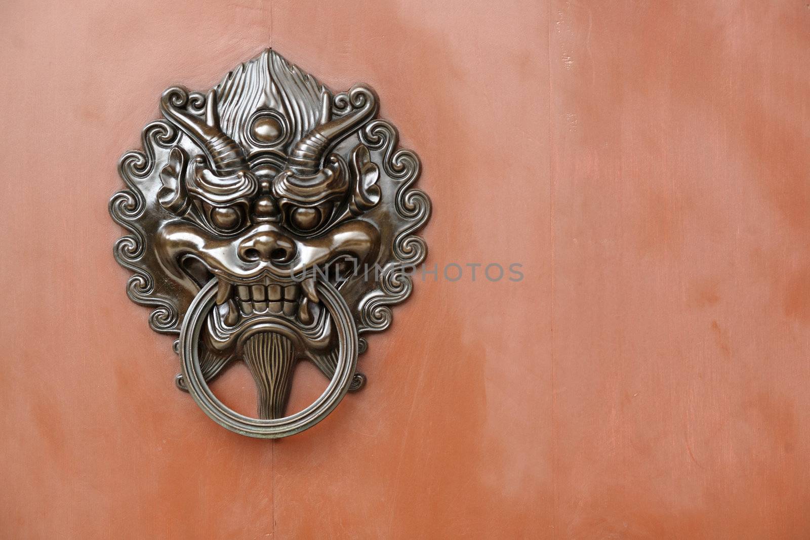 lion door lock