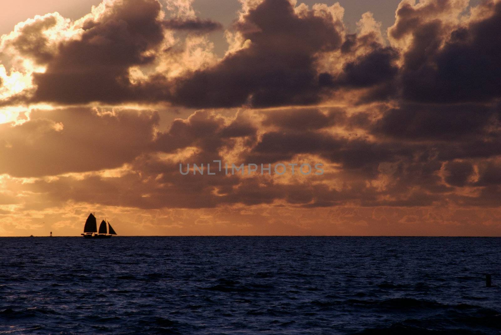 Sailboat in Miami Beach at Sunrise.