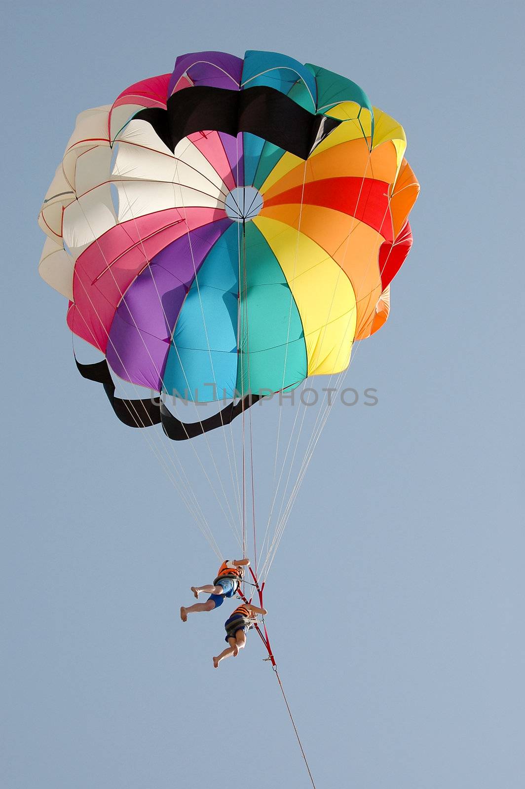 People parasailing