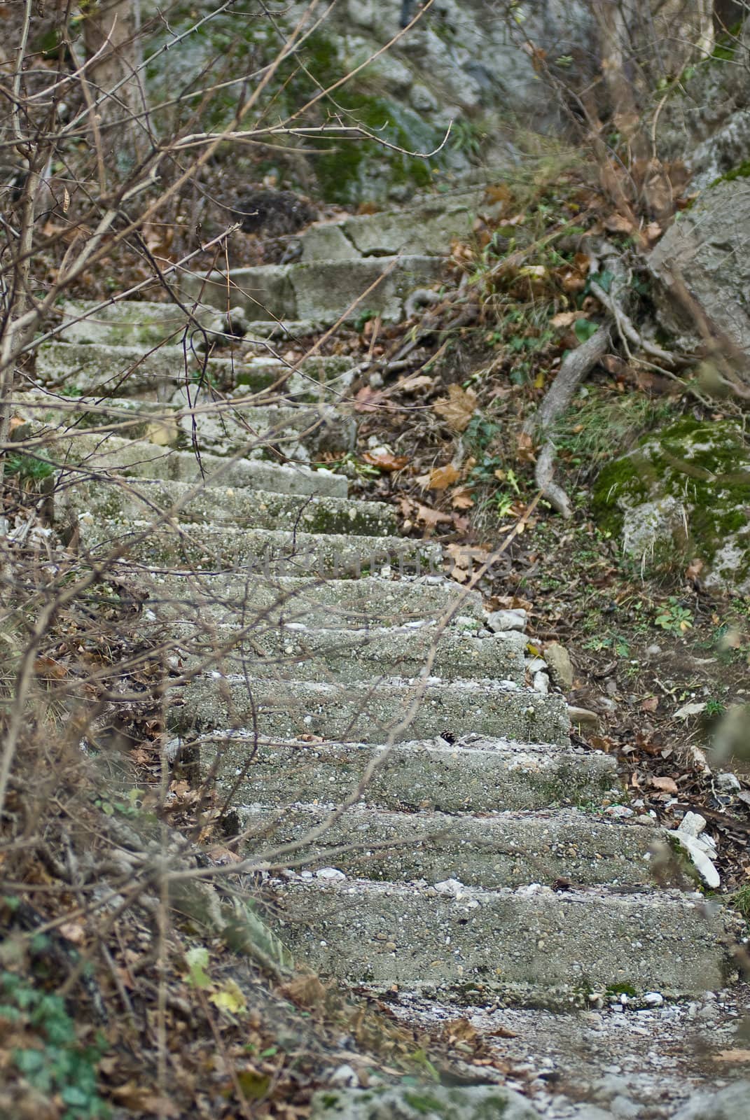 a aged old beton stairway leading up a mountain very steep