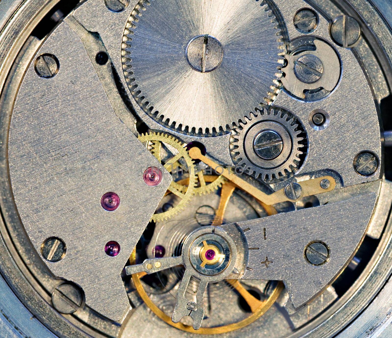 Photo of the mechanism of a watch