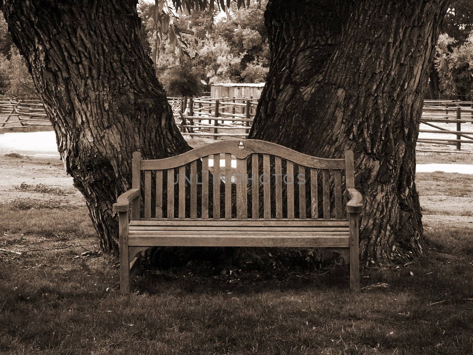 park bench in sepia by jdebordphoto