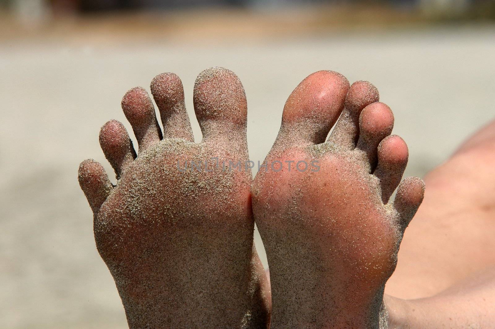 Feet of woman lying on the beach