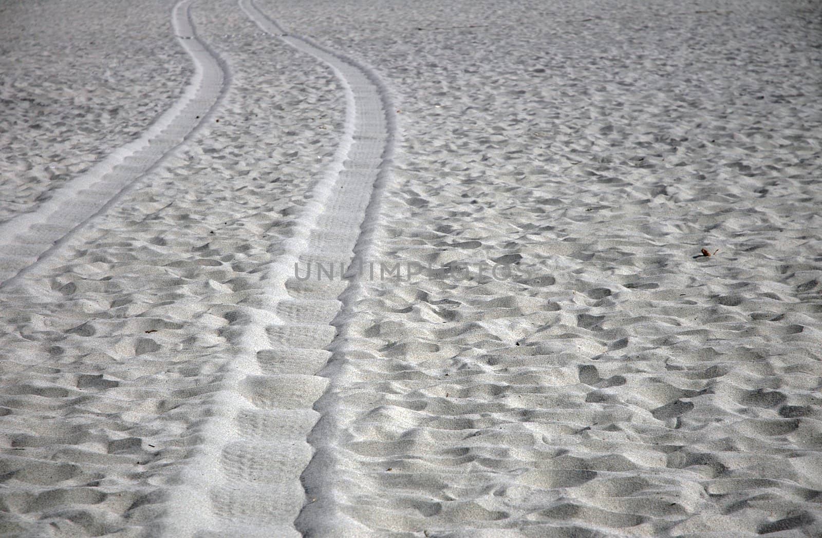 Tire tracks on the beach