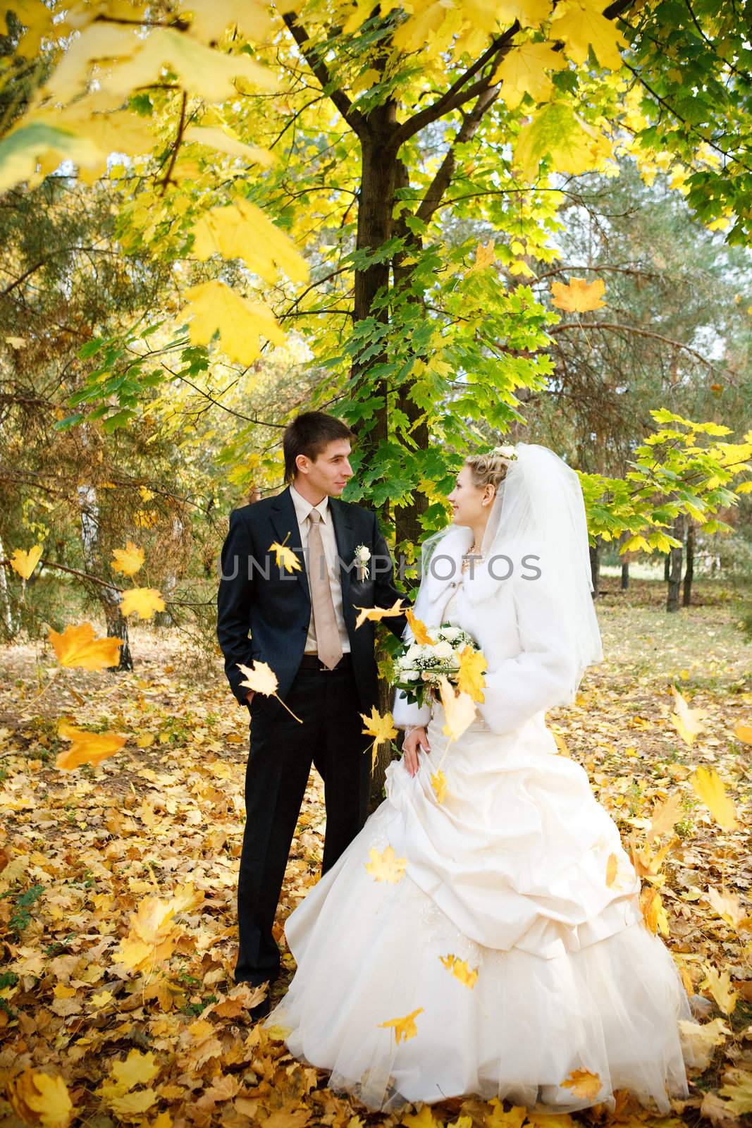 bride and groom  in autumn by vsurkov