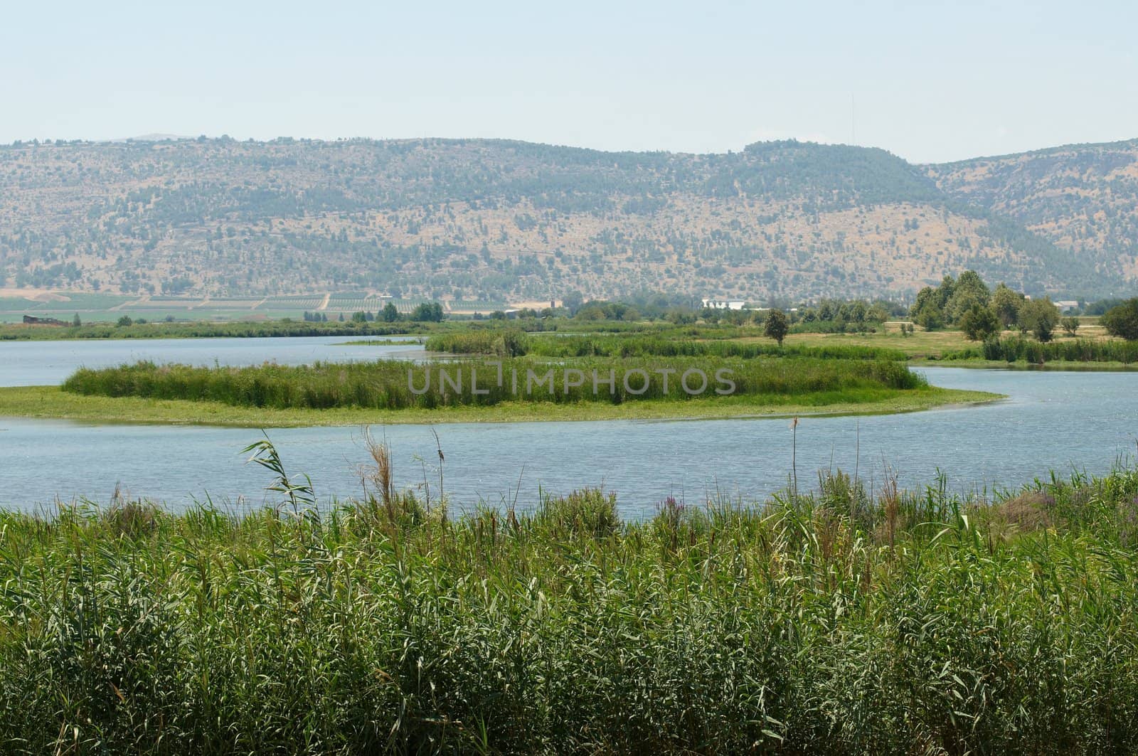 Lake in the North of Israel. Agmon aHula.