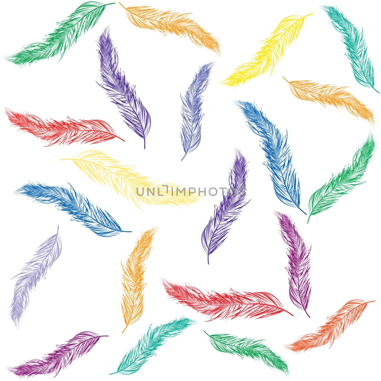 Colored feathers over white background