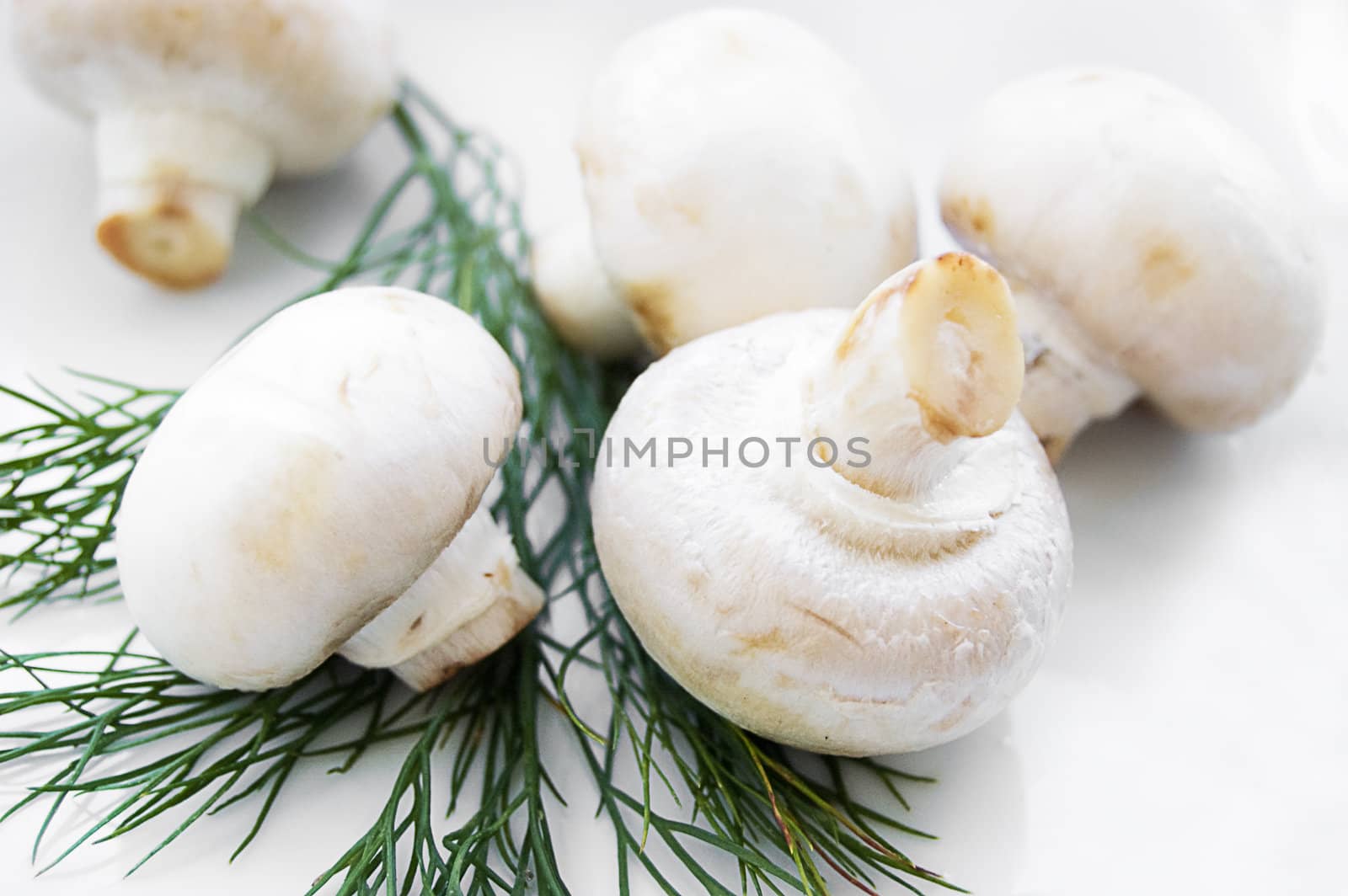 Mushroom champignon with green parsley isolated on white