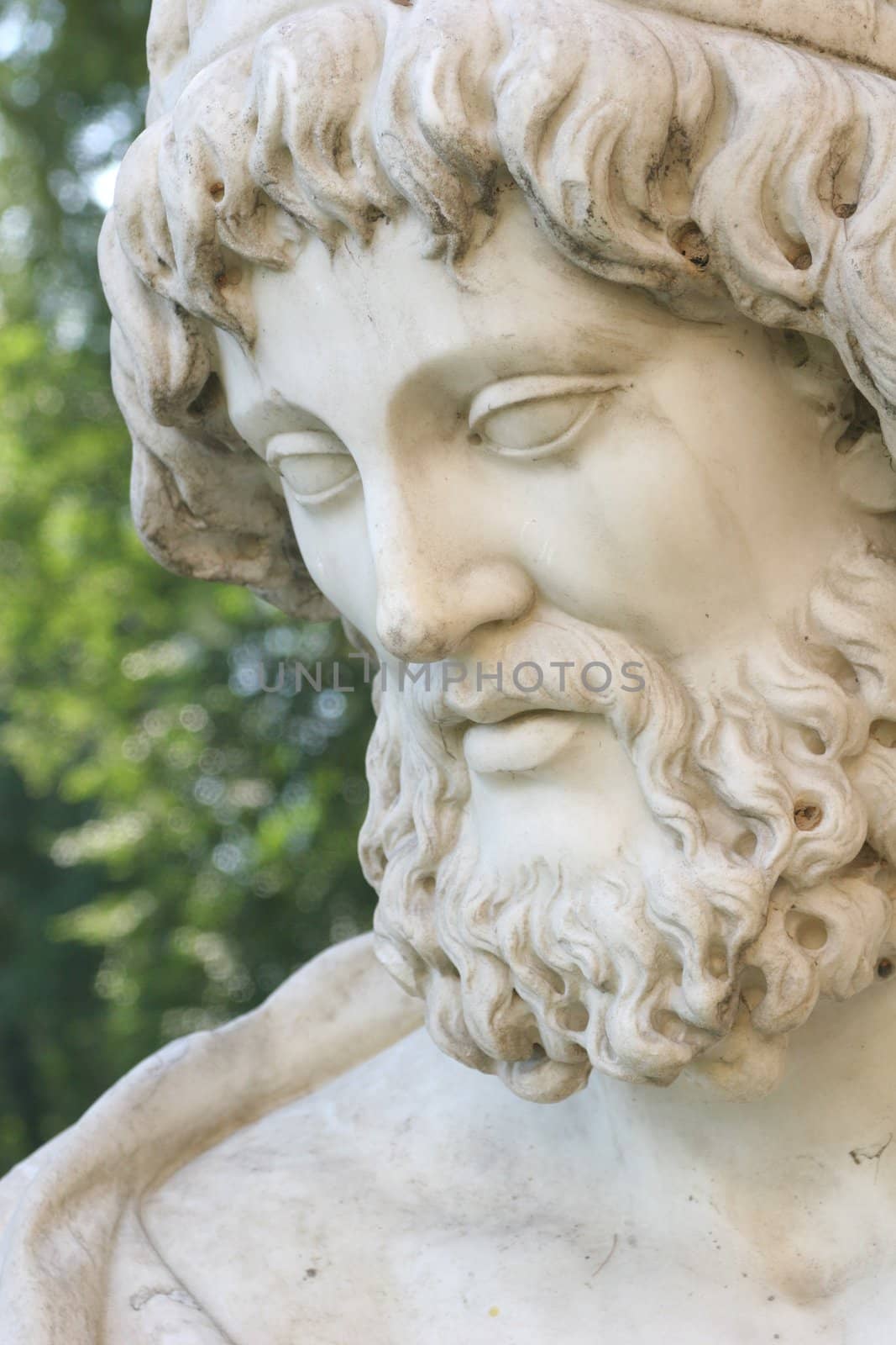 Male Head with Beard, Antique Sculpture by Astroid