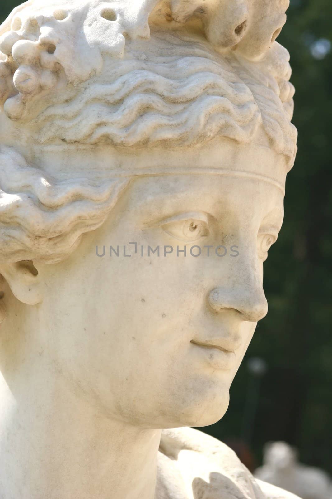 Feminine Head, Antique Sculpture by Astroid