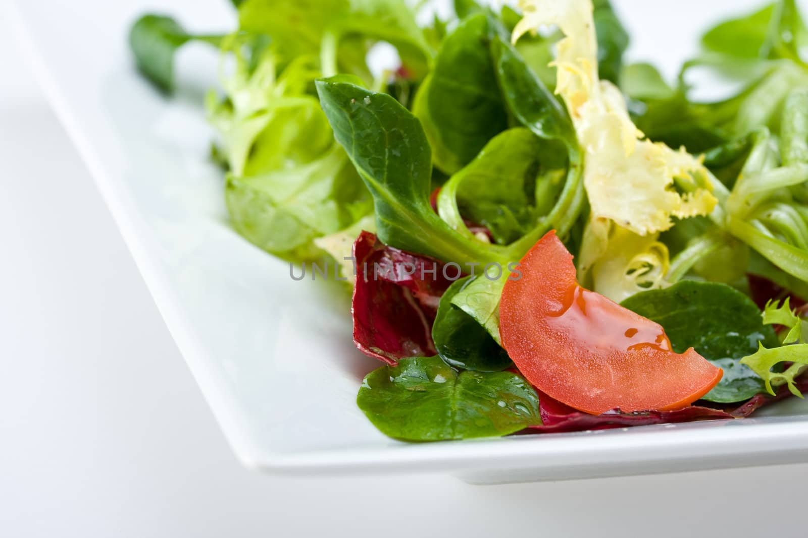 detail of a mixed salad on a white plate