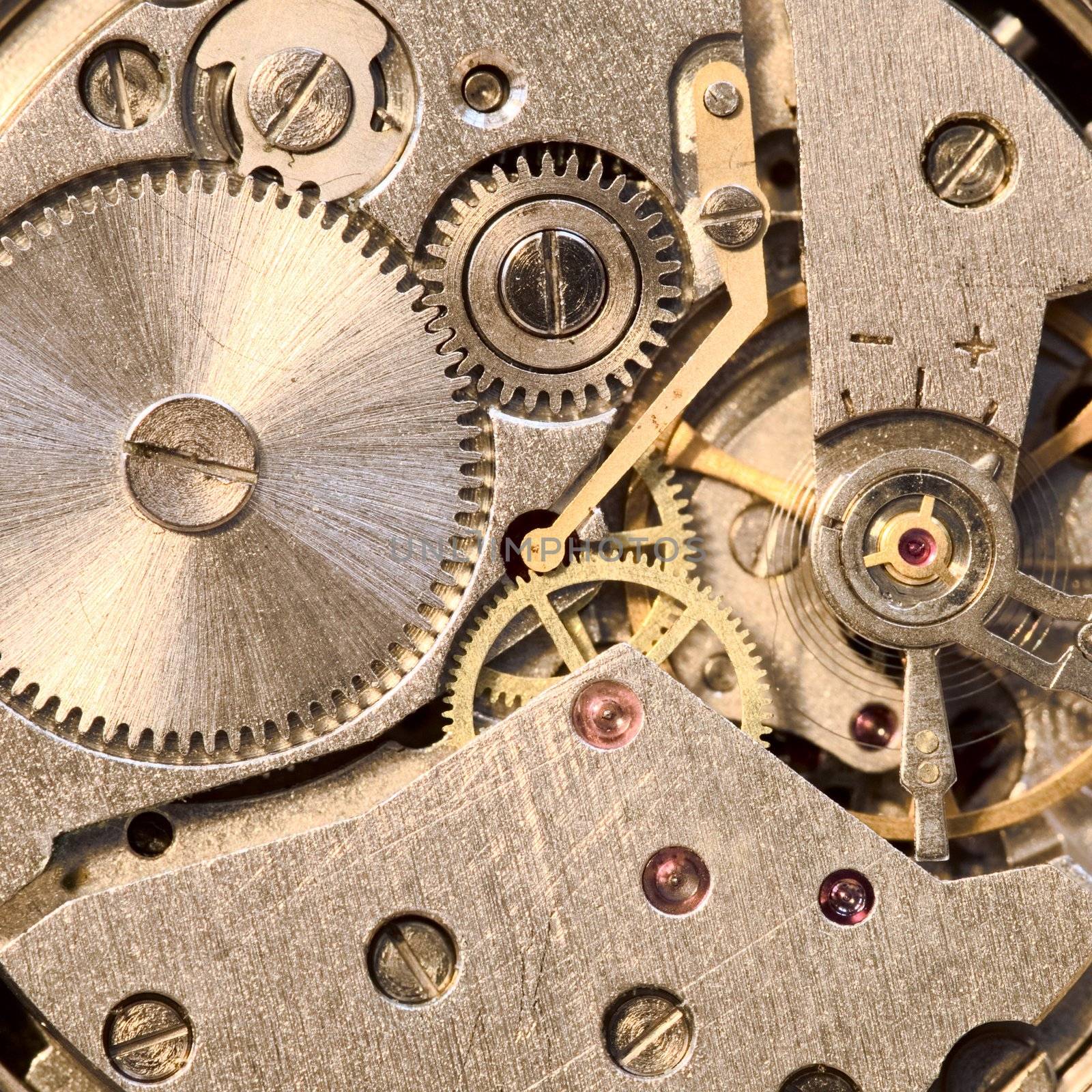 Photo of the mechanism of a watch