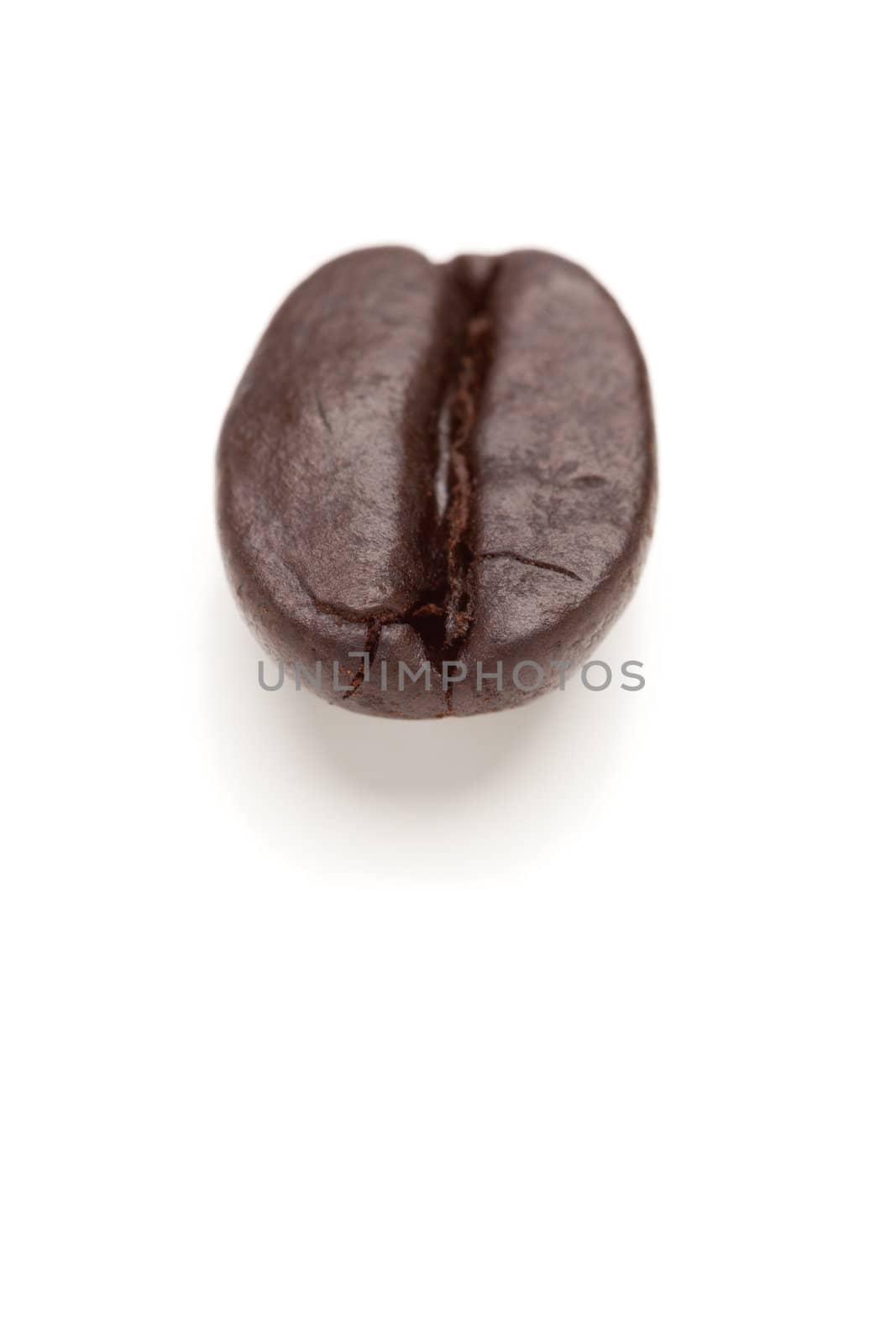 Single Roasted Coffee Bean Isolated on White with Narrow Depth of Field.
