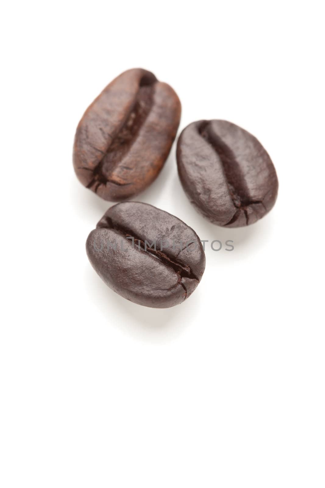 Three Roasted Coffee Beans on White by Feverpitched