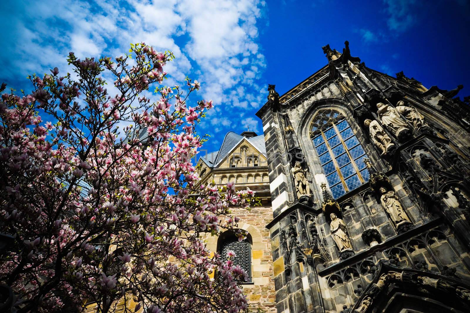 Looking up at the Aachen Cathedral and flowering tree