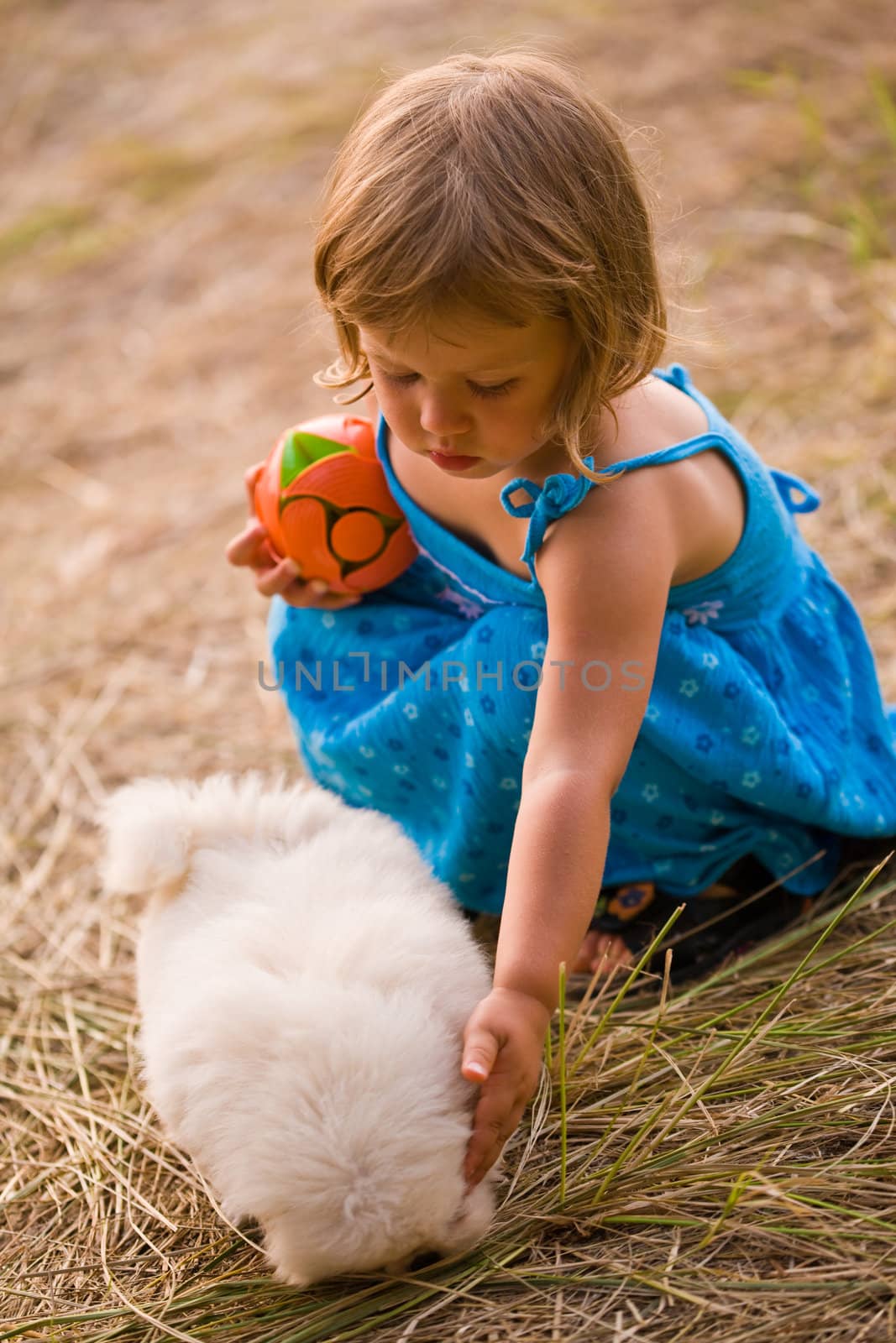 people series: little girl with small dog on nature