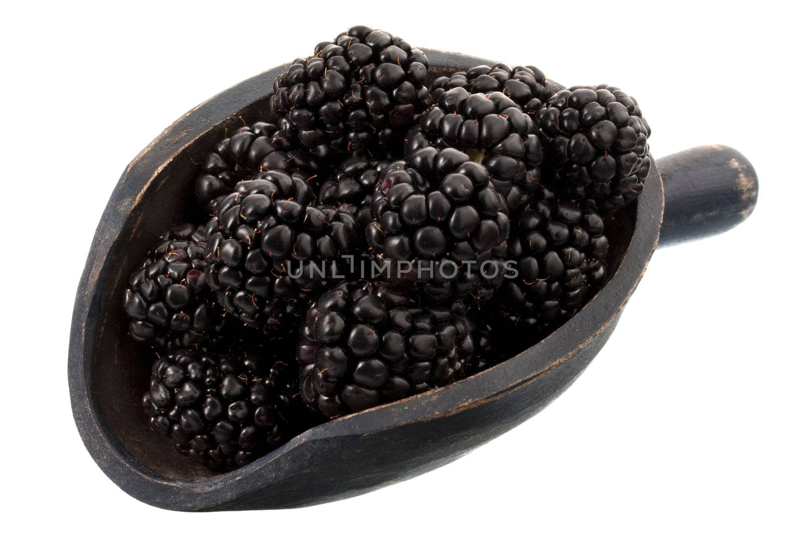 scoop of blackberries by PixelsAway