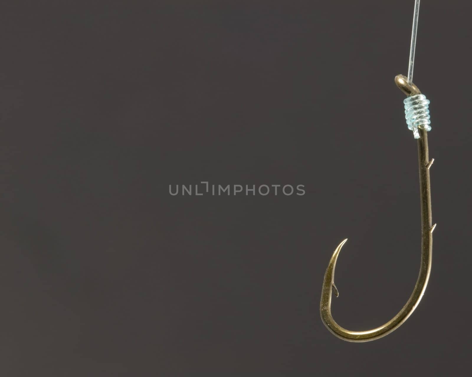 A close-up of a fishing hook on fishing line.