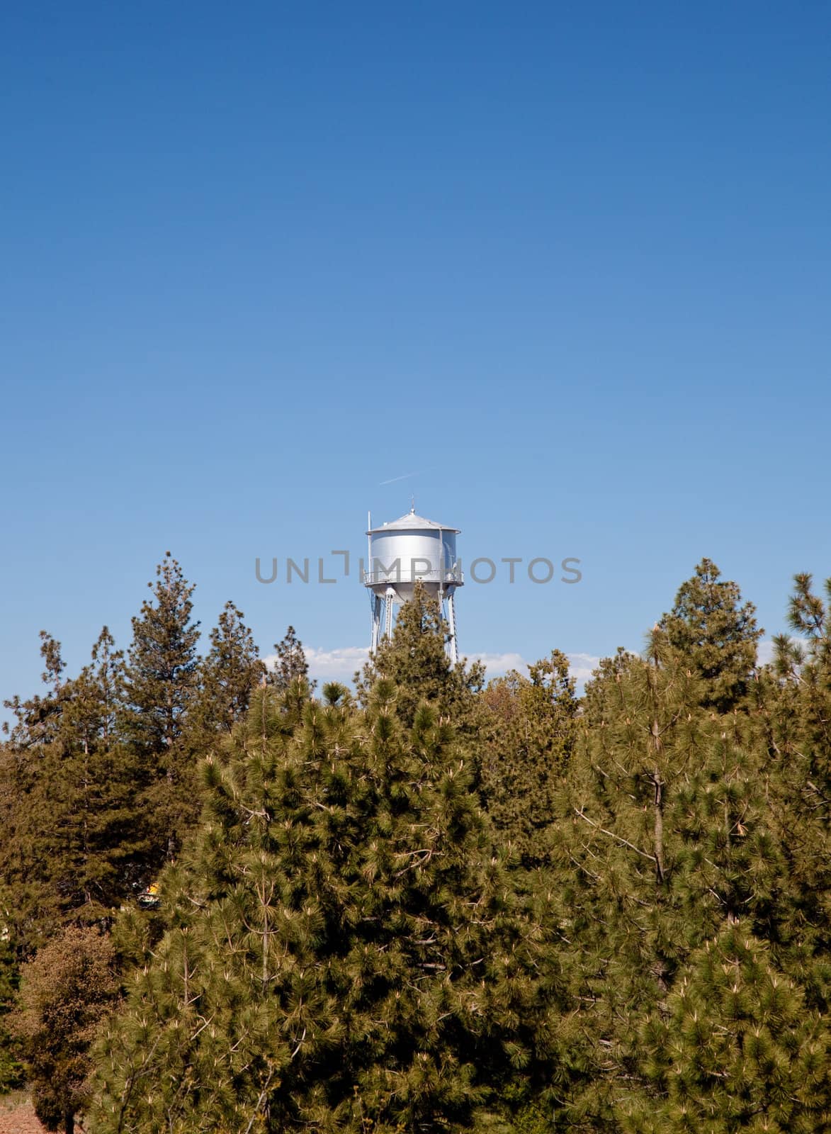 Small silver water tower rises above the conifers on tree line