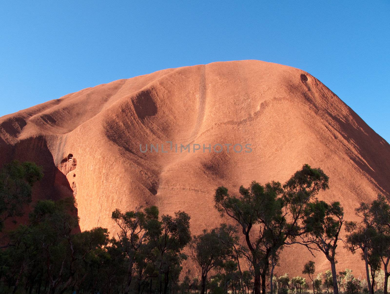 Trees frame Ayers Rock in central australia