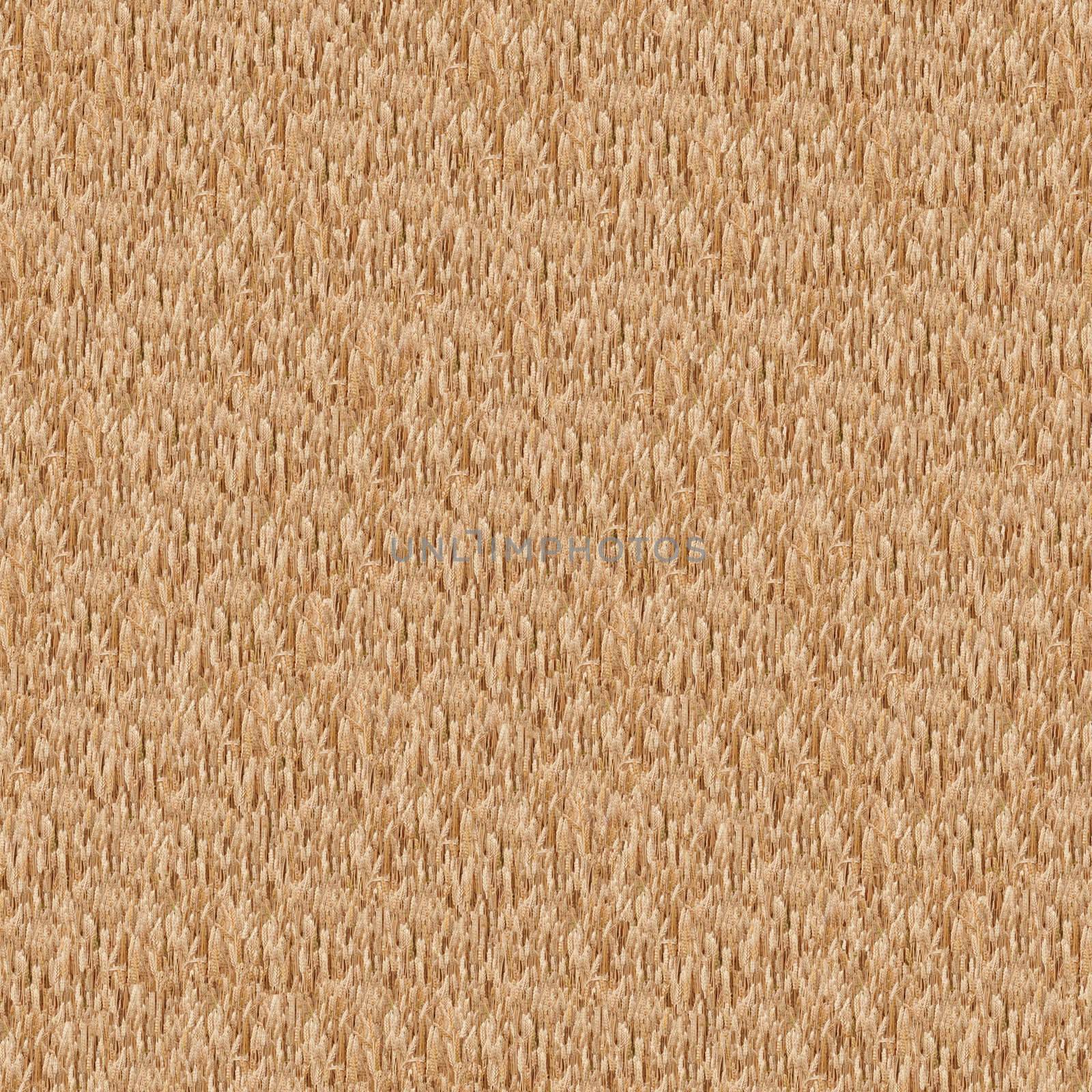 Seamless pattern made of wheat. It's composable like tiles without visible connecting line between parts