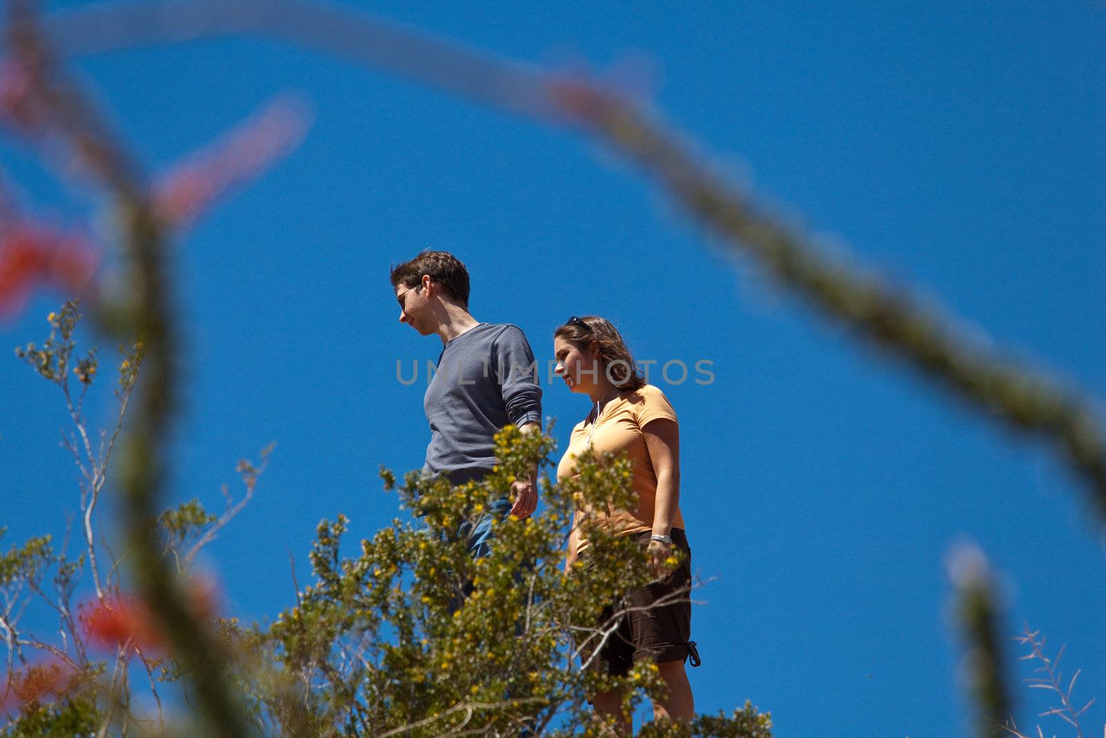 Male and female hikers in Anze Borrego desert framed by red cactus plants