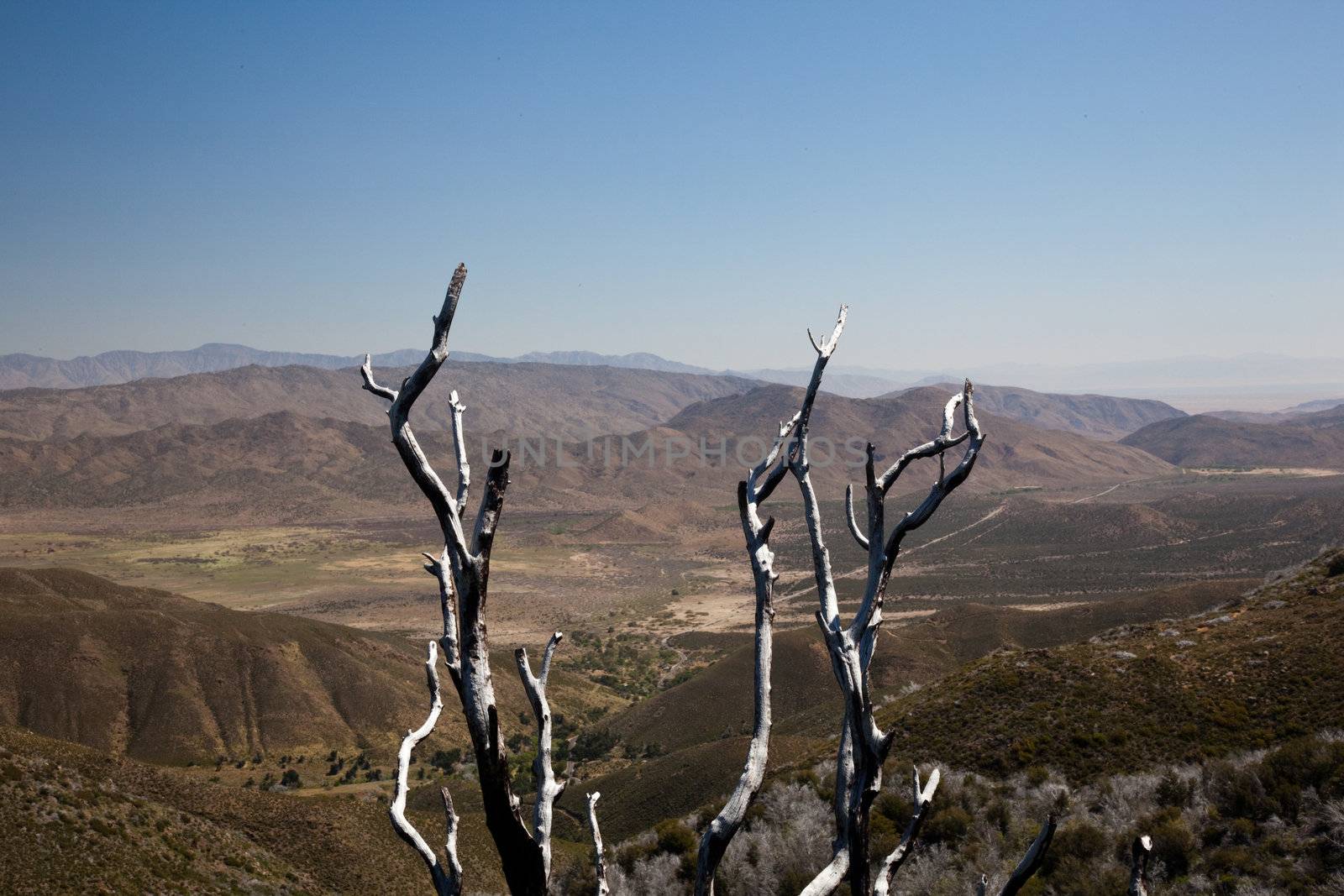 Anza Borrego desert and state park with the city of Borrego Springs in the valley framed by dead twigs