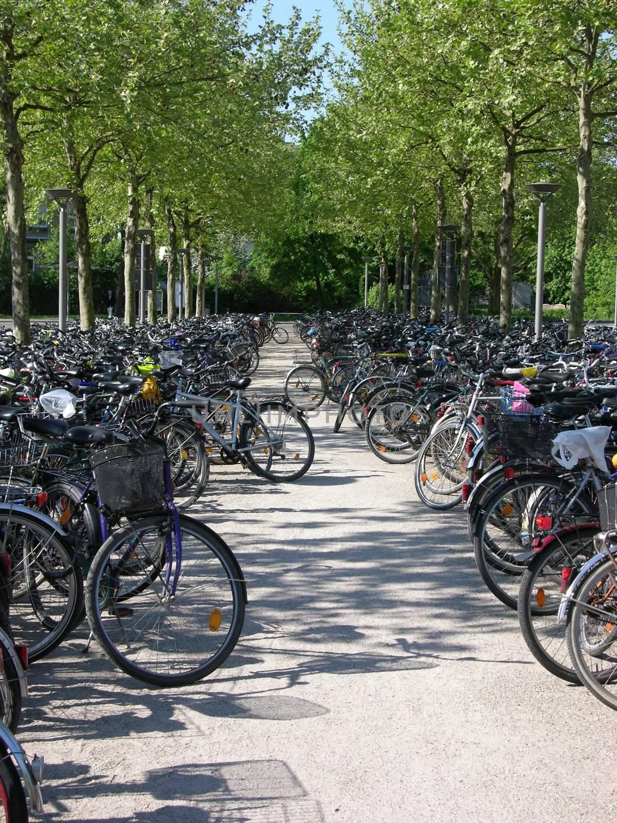 Bike parking by rbiedermann