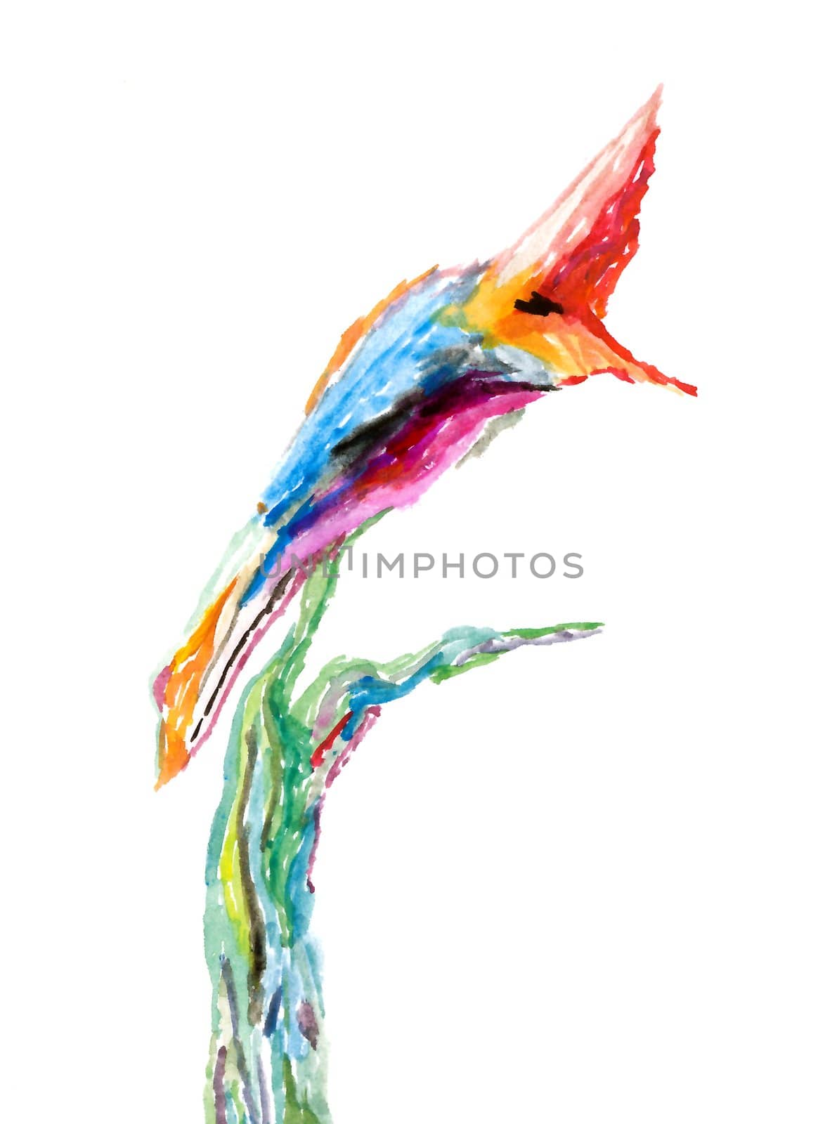 Colorful watercolor painting of a tropical bird by rbiedermann