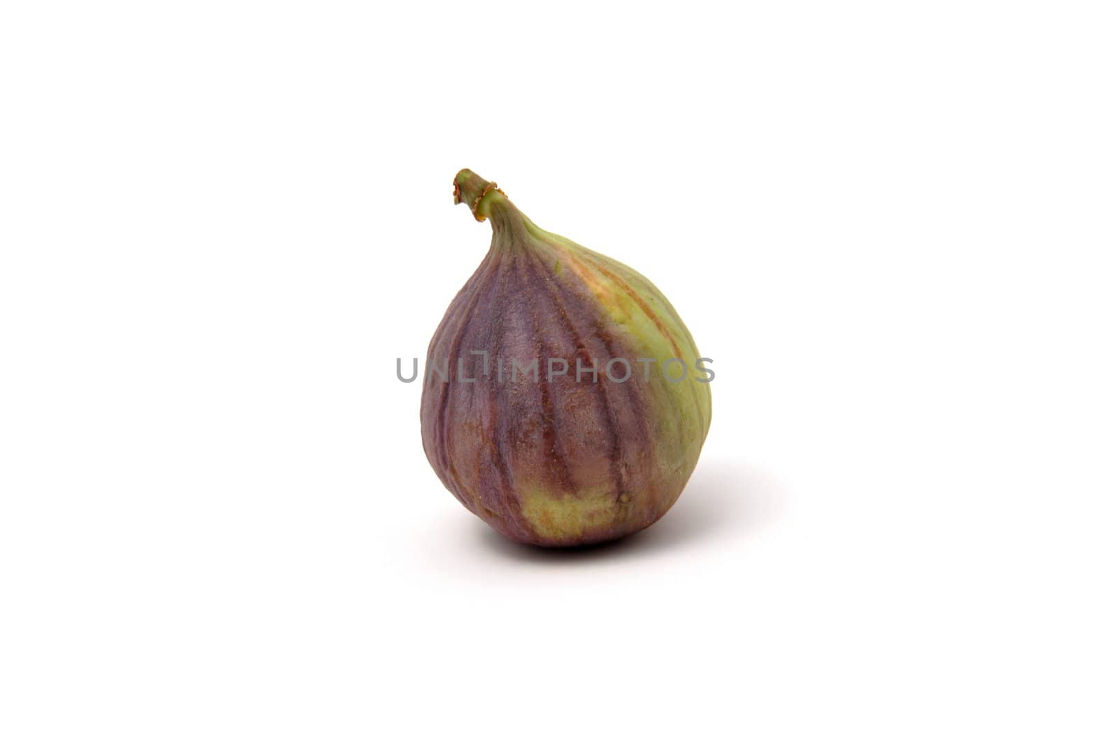 Fresh fig