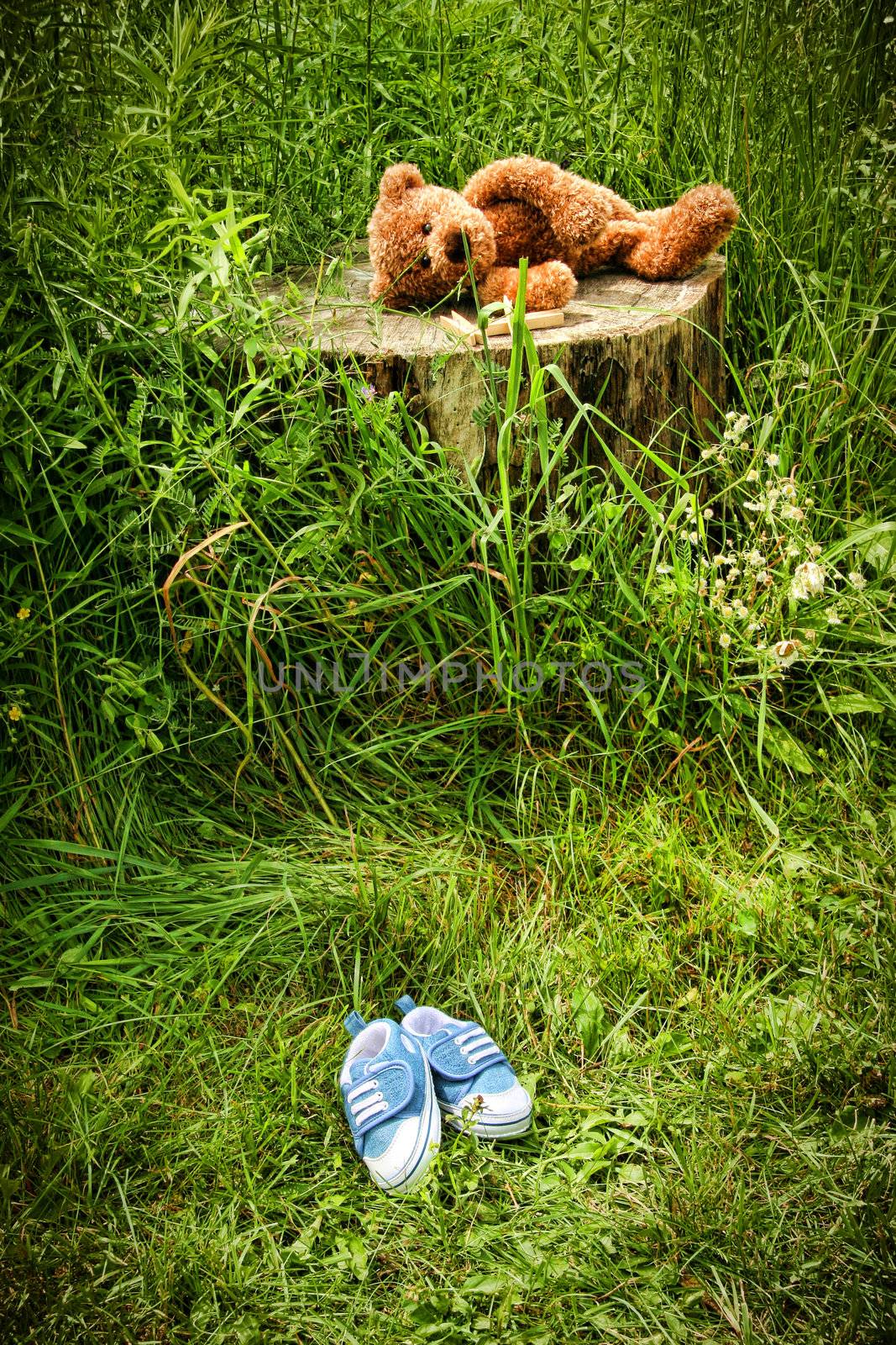 Little stuff teddy bear laying on an  tree stump by Sandralise