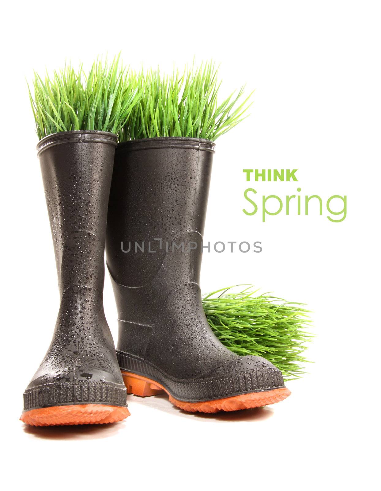 Rubber boots with grass on white background