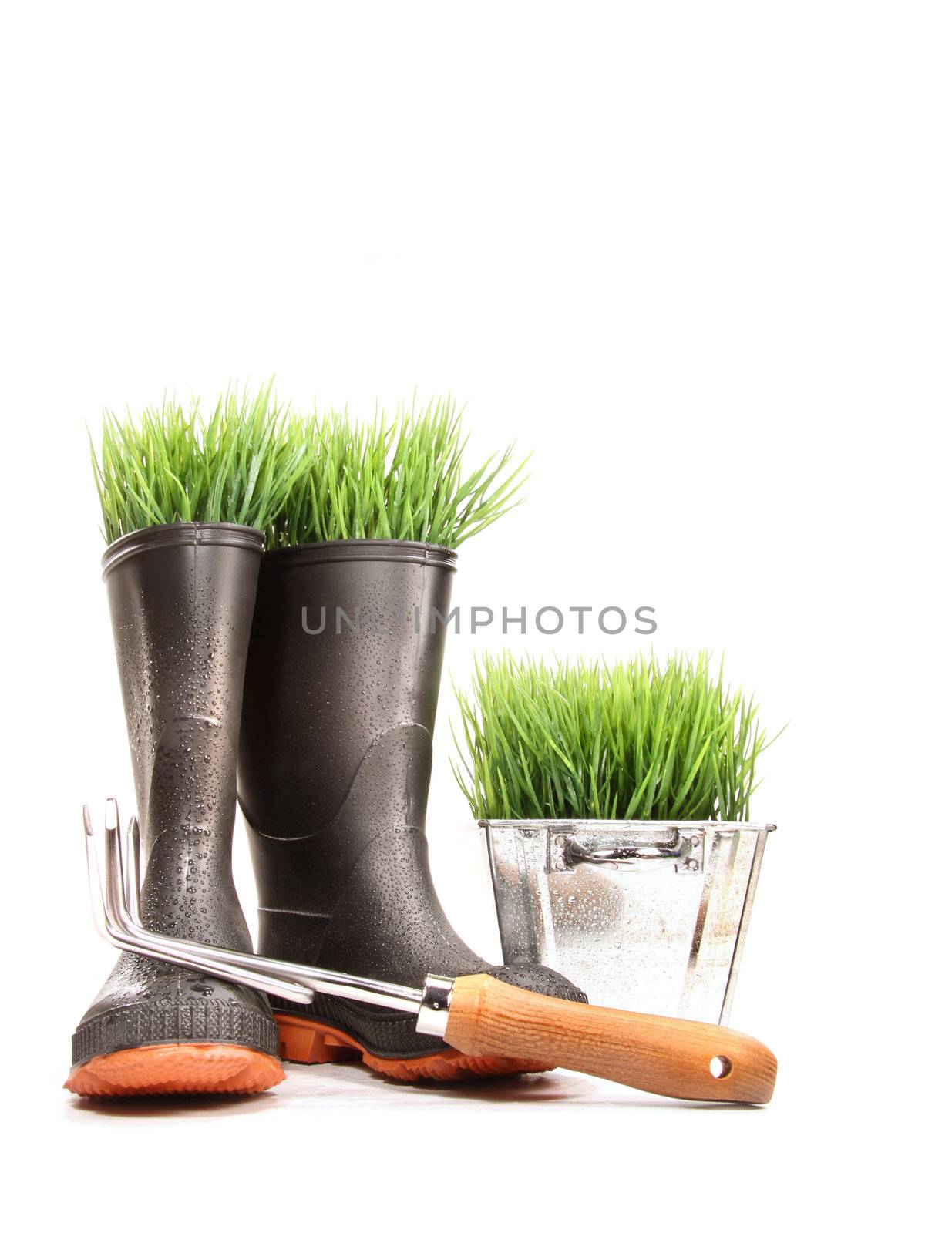 Rubber boots with grass in pot and tool on white
