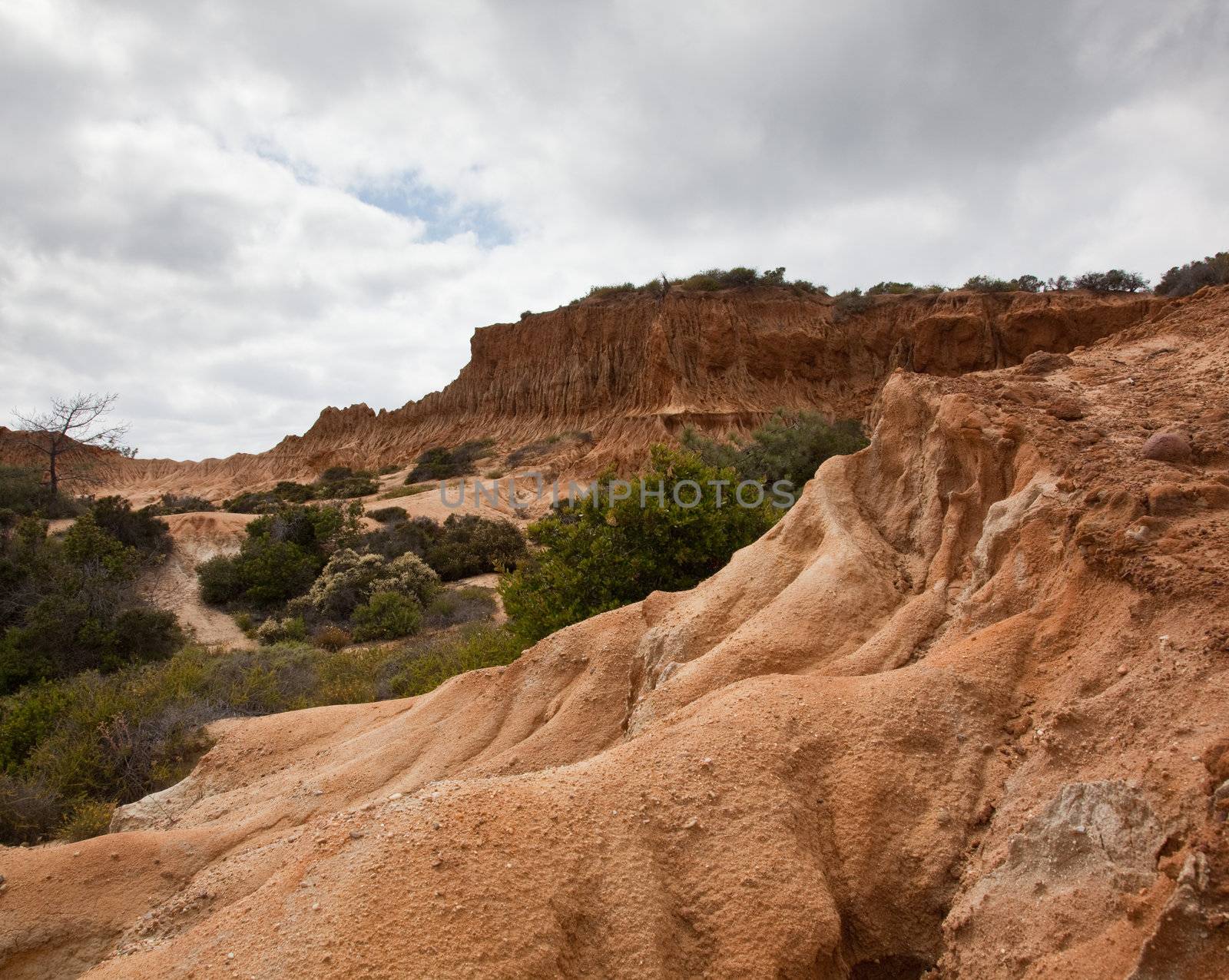 Rugged razor edged erosion in the sandstone on Torrey Pines hillside with sandstone bluff in the foreground