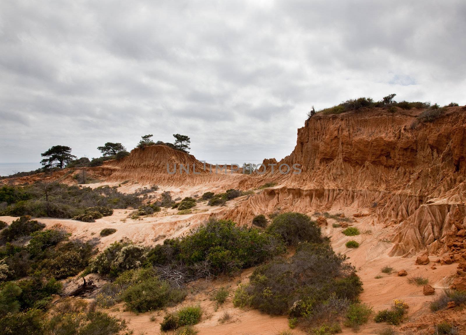 Broken Hill in Torrey Pines State Park by steheap