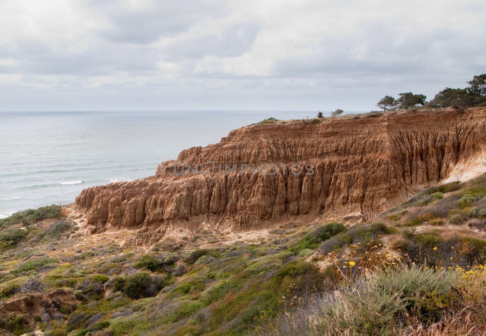 View down the cliffs and bay near La Jolla in Southern California with Torrey Pines state park