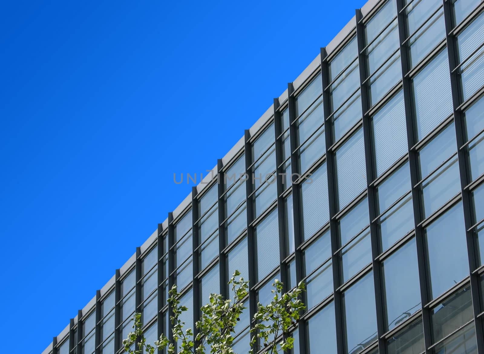 Office building and blue sky