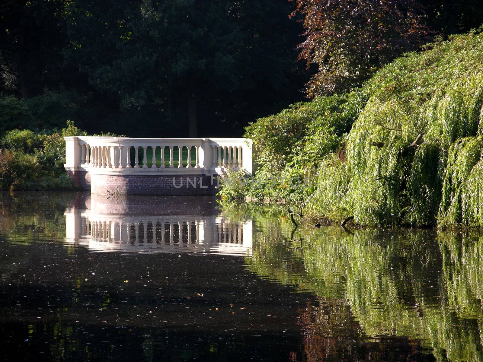 Idyllic pond in a shady urban park