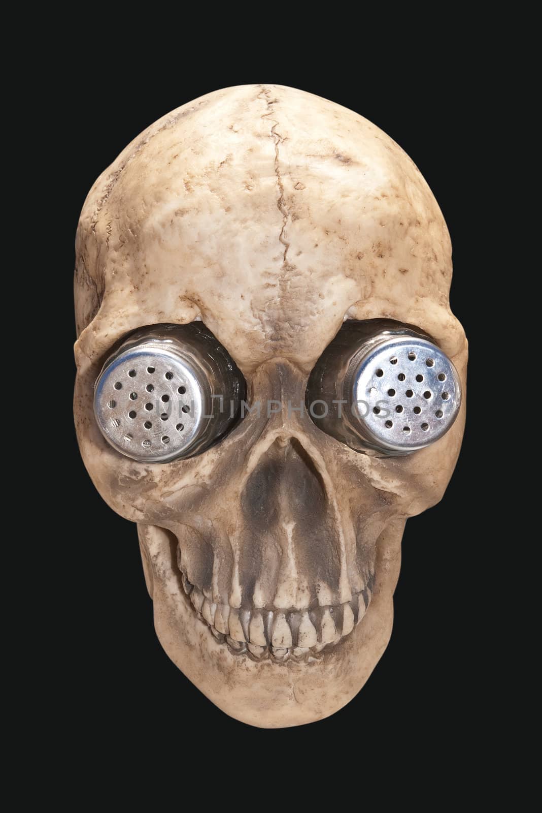 Salt and pepper shaker holder shaped like a human skull.  Isolated on black background, clipping path included.