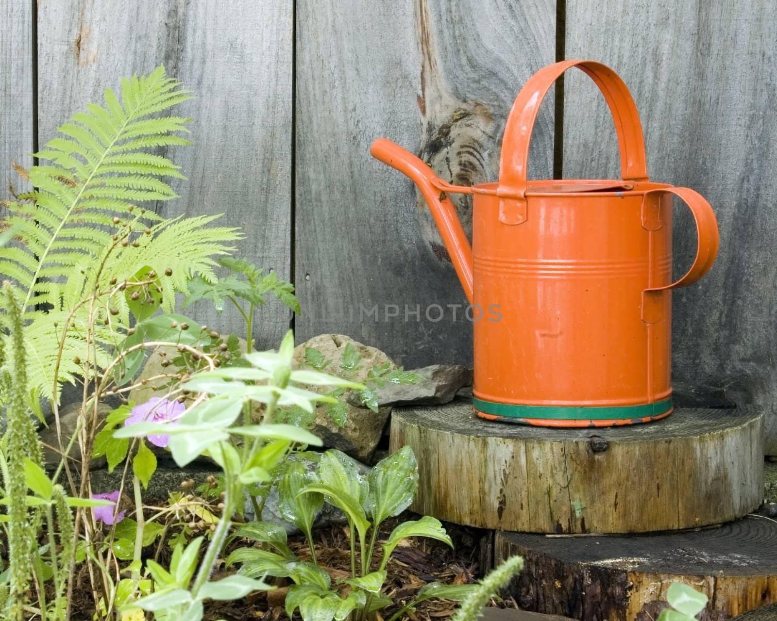 Flower watering can sitting against a cabin wall.