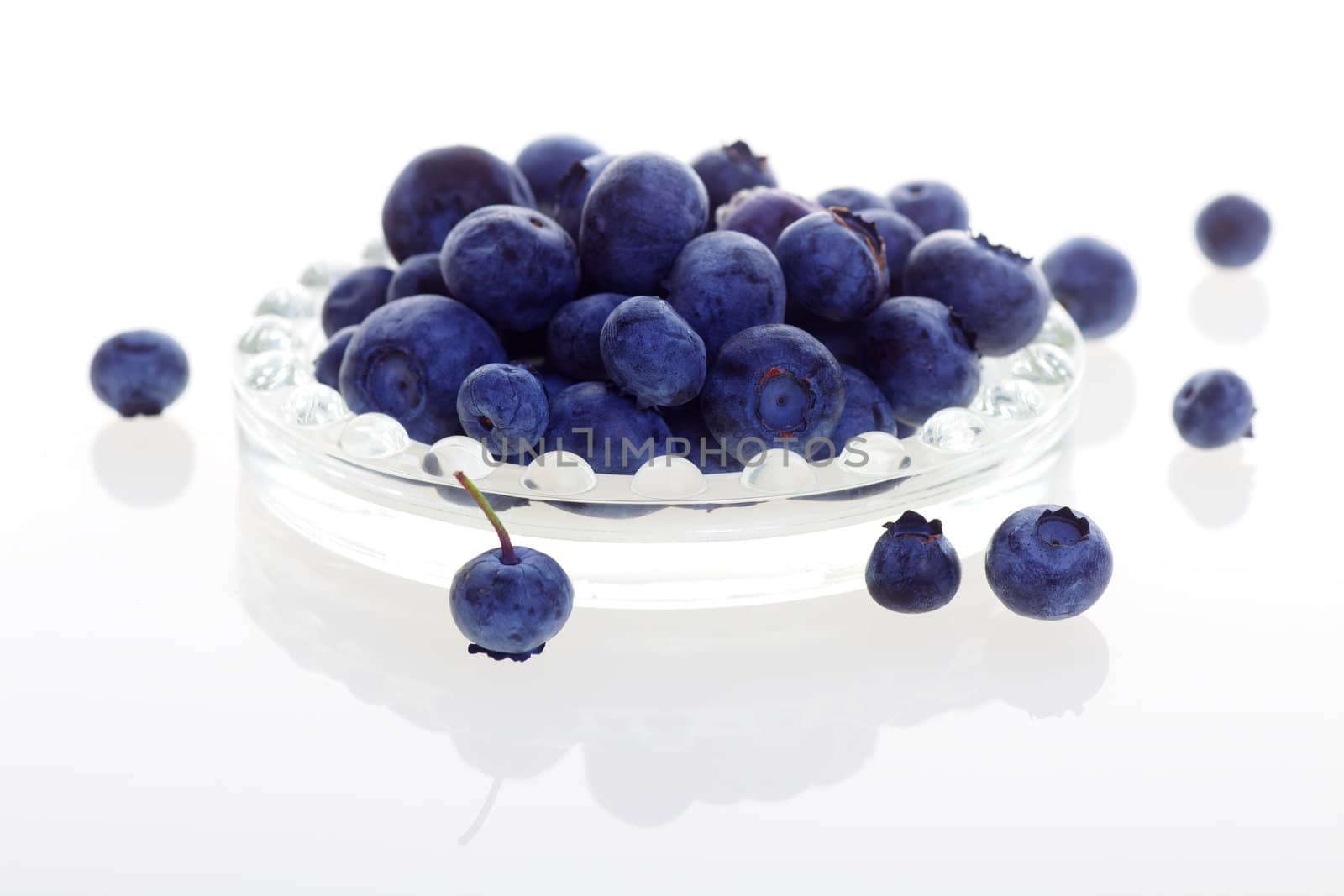 Fresh Blueberries Isolated on White